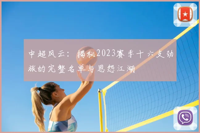 中超风云:揭秘2023赛季十六支劲旅的完整名单与恩怨江湖
